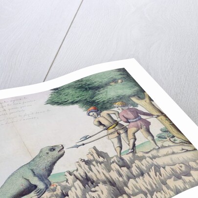 Sea Lion near the Strait of Magellan by French School