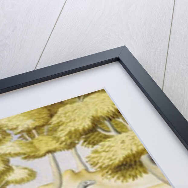 Animals encountered in the Galapagos Islands by French School