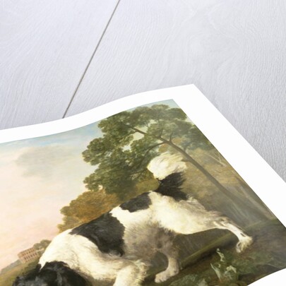 A Spaniel in a Landscape, 1771 by George Stubbs