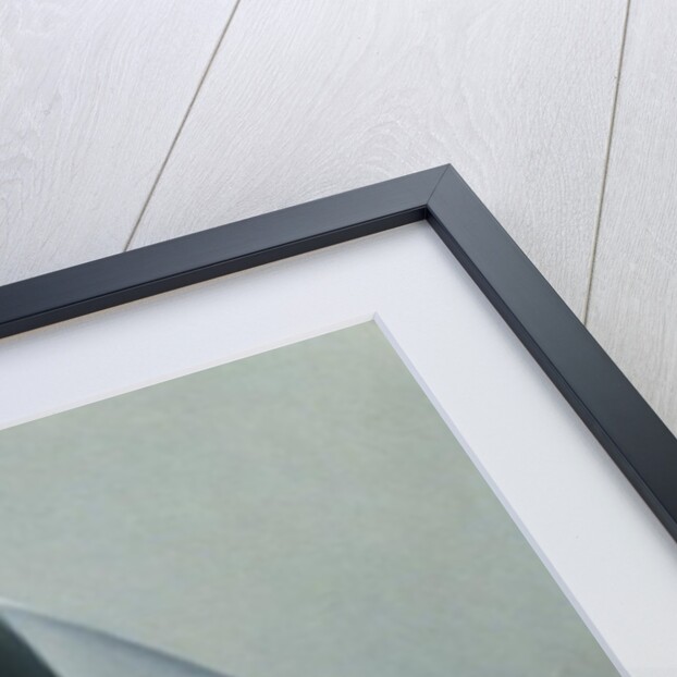 The Automatic by Robert Burkall Marsh