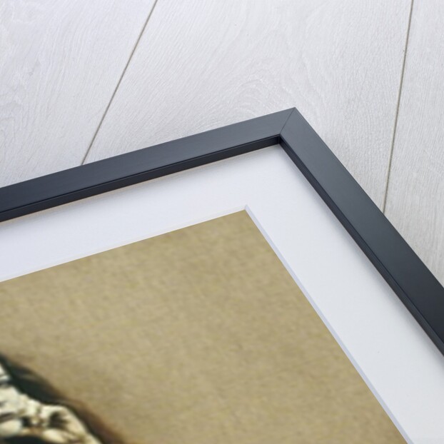 The Canadian by Robert Burkall Marsh