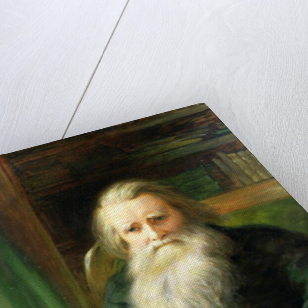 Portrait of John Ruskin 1897 by William Gersham Collingwood