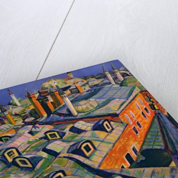 Islamic Roofs by Robert Tyndall