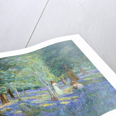 Bluebell Wood, 1908 by Robert Tyndall