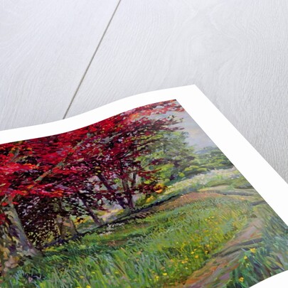 Copper Beeches, New Timber, Sussex by Robert Tyndall