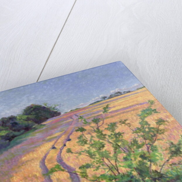 Golden Summer by Robert Tyndall