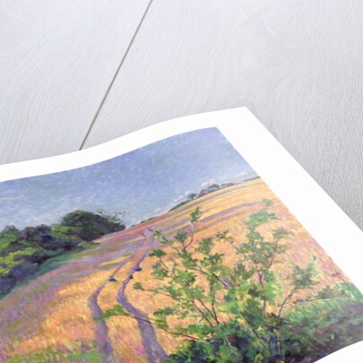 Golden Summer by Robert Tyndall