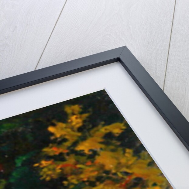 The Picnic by Robert Tyndall