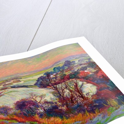 The Downs in Winter by Robert Tyndall