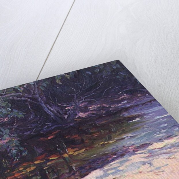 Beach and Rain Forest, Cape Tribulation, Northern Queensland, Australia by Robert Tyndall