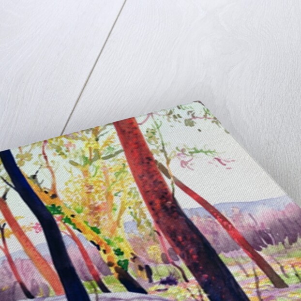 Bush Fire Survivors, Sydney, 1994 by Robert Tyndall