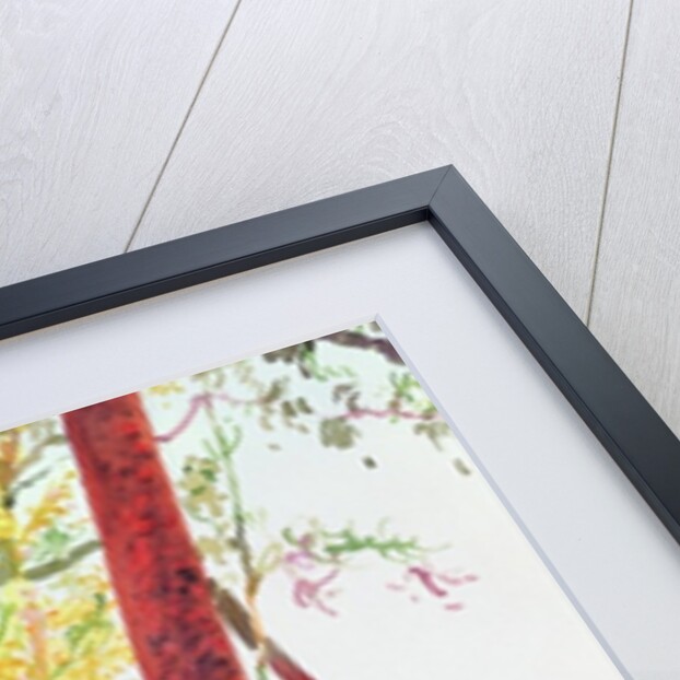 Bush Fire Survivors, Sydney, 1994 by Robert Tyndall