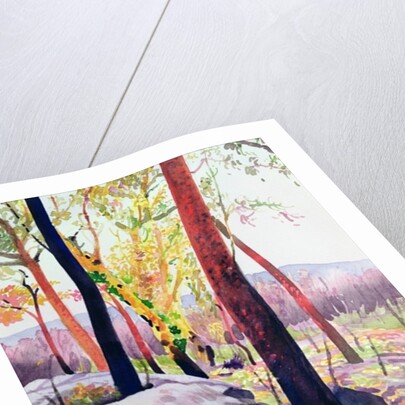 Bush Fire Survivors, Sydney, 1994 by Robert Tyndall