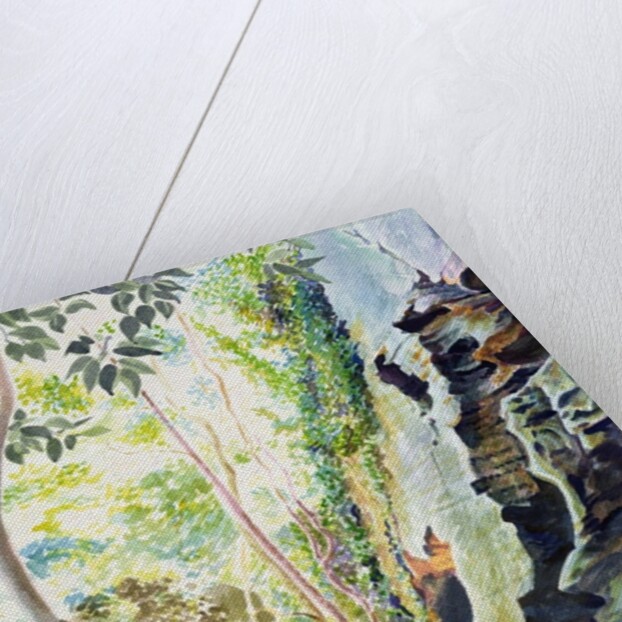 Rocks near Nowra, N.S.W. Australia by Robert Tyndall