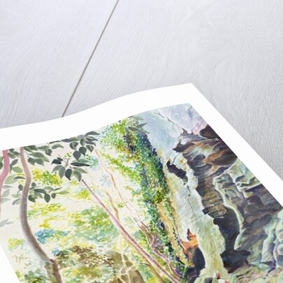 Rocks near Nowra, N.S.W. Australia by Robert Tyndall