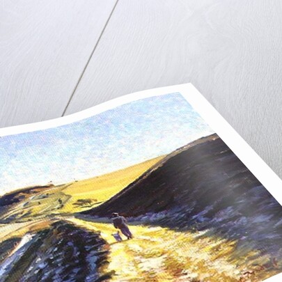 Winter Walk on the Downs, 1996 by Robert Tyndall