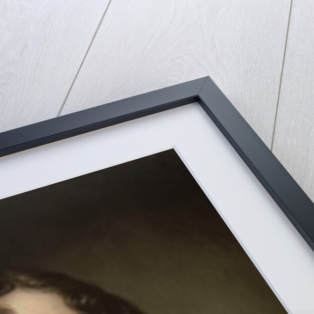 Portrait of a Young Gentleman by Pierre Mignard