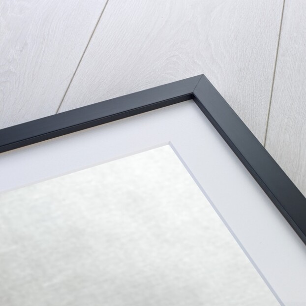 Portrait of Sarah and Elizabeth Poulett of Hinton St. George, Somerset, c.1600 by English School