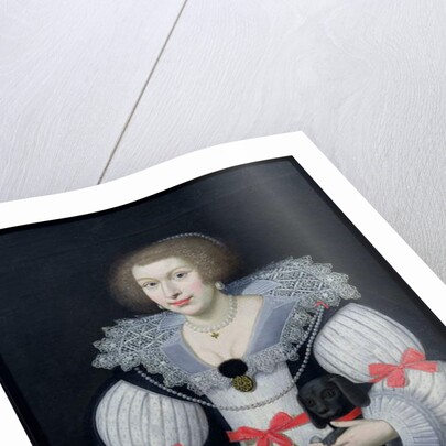 Portrait of a lady holding a dog and a tulip, c.1620 by English School