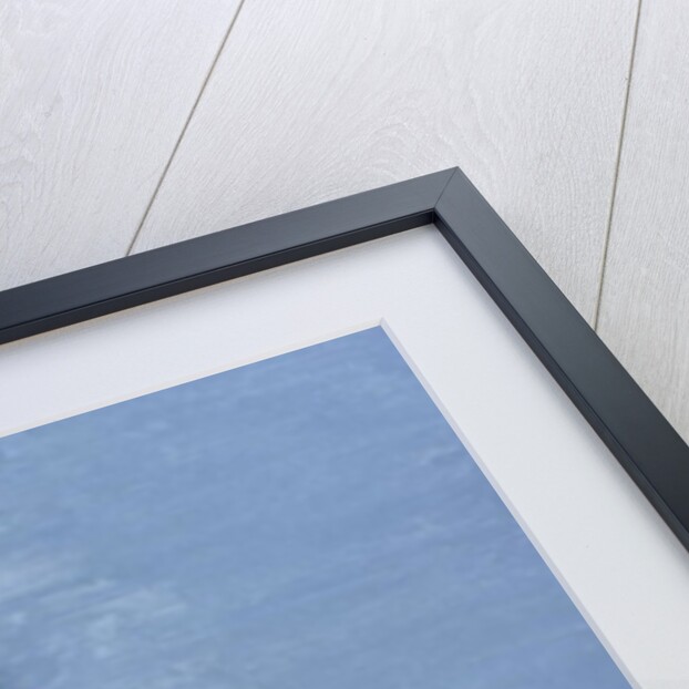 Untitled 6 by Rory Snookes