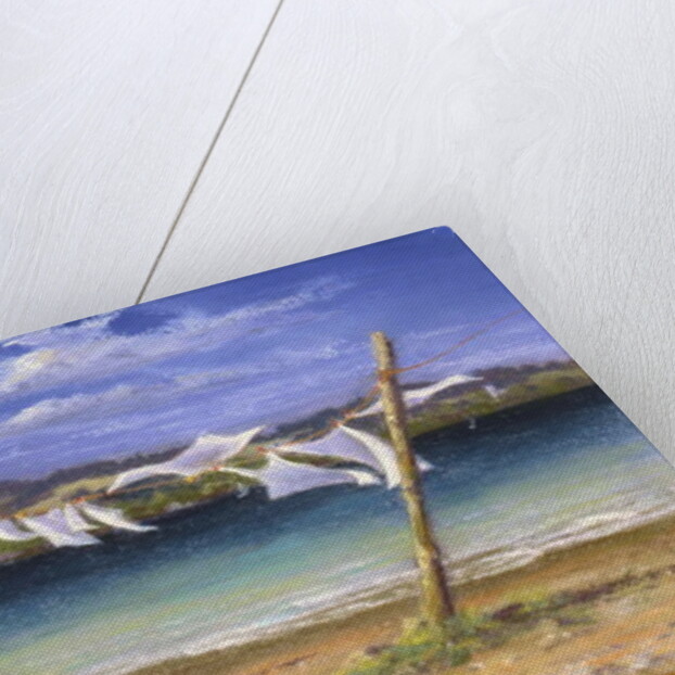 Drying the Whites, 2004 by Anthony Rule