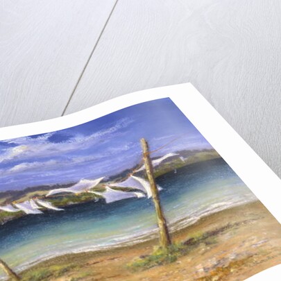 Drying the Whites, 2004 by Anthony Rule