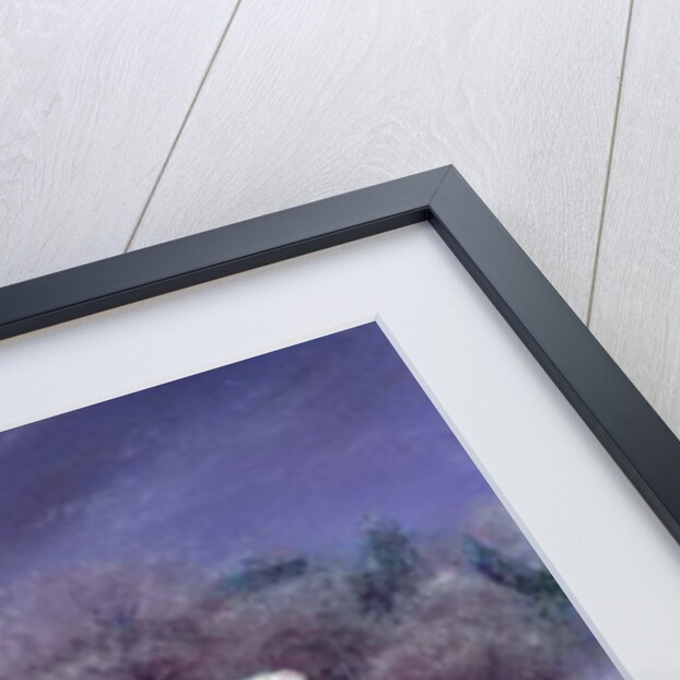 Midwinter at the Mill, 2010 by Anthony Rule