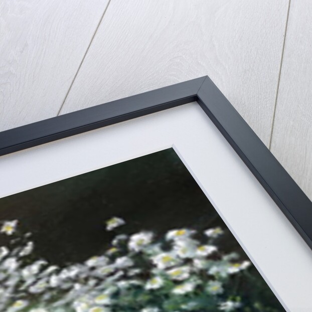 Shasta Daisies, 1992 by Anthony Rule