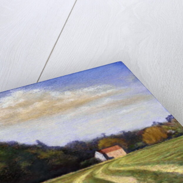 Silage Time, 2004 by Anthony Rule