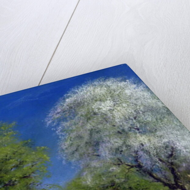 Springtime by the Stile, 2013 by Anthony Rule