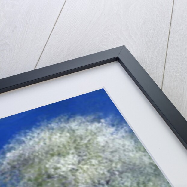 Springtime by the Stile, 2013 by Anthony Rule