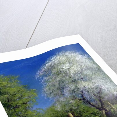 Springtime by the Stile, 2013 by Anthony Rule