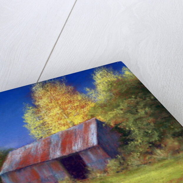 The Old Tin Shack, 2010 by Anthony Rule