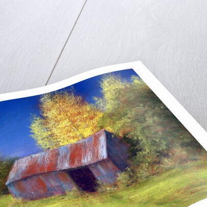 The Old Tin Shack, 2010 by Anthony Rule