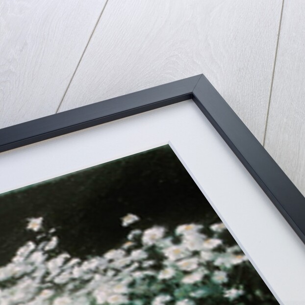 Shasta Daisies, 1992 by Anthony Rule