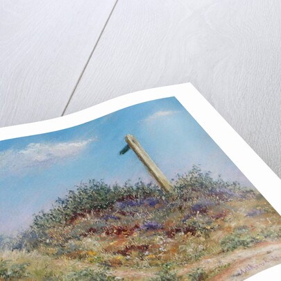 Public Footpath, 2002 by Anthony Rule