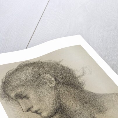 Study of a Head, for 'The Mill', c.1872-80 by Edward Coley Burne-Jones