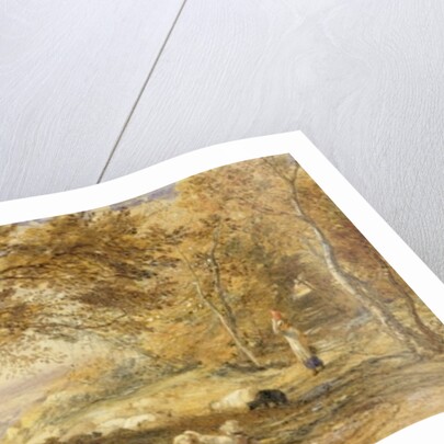 Shady Quiet by Samuel Palmer