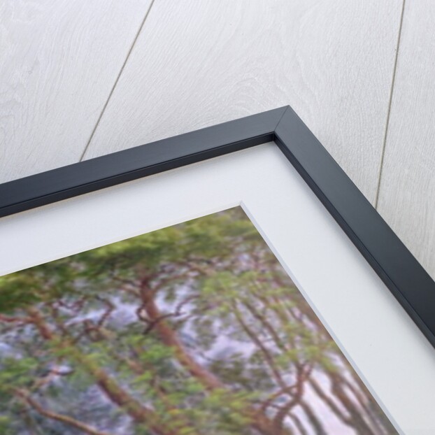 River Cherwell Waterlilies, 1851 by William Turner