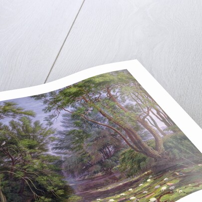 River Cherwell Waterlilies, 1851 by William Turner