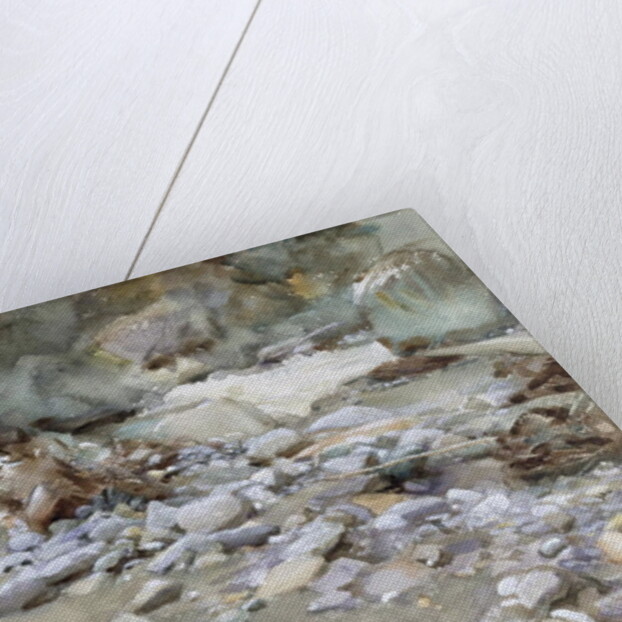 River Bed by John Singer Sargent