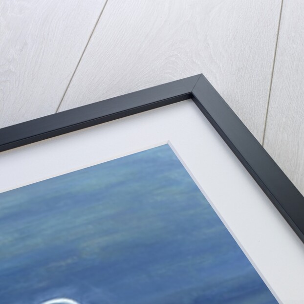 Boy with Bird, 2002 by Roya Salari