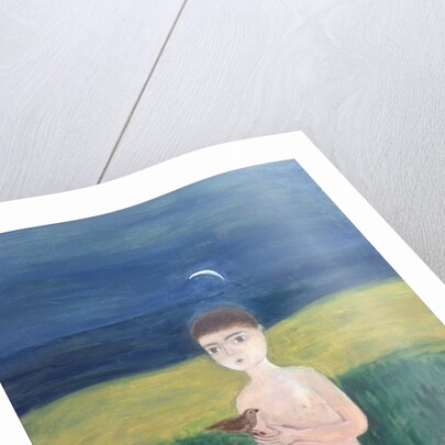 Boy with Bird, 2002 by Roya Salari