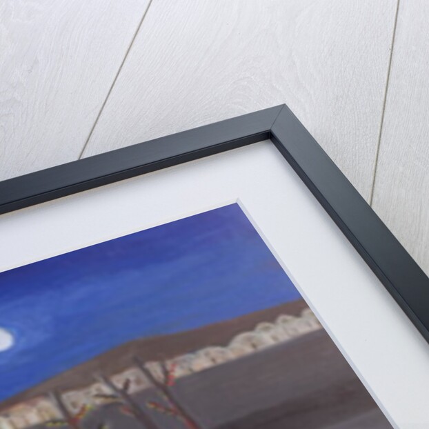 Mother and Child at Mazar, 2002 by Roya Salari