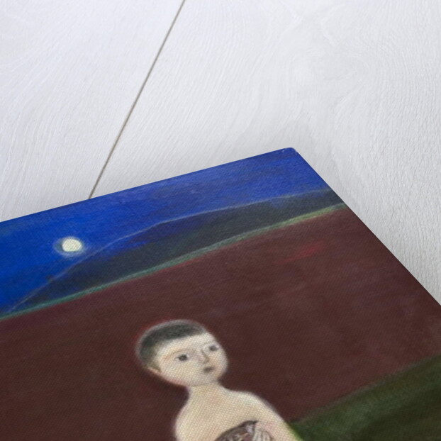 Boy and Sparrow, 2011 by Roya Salari