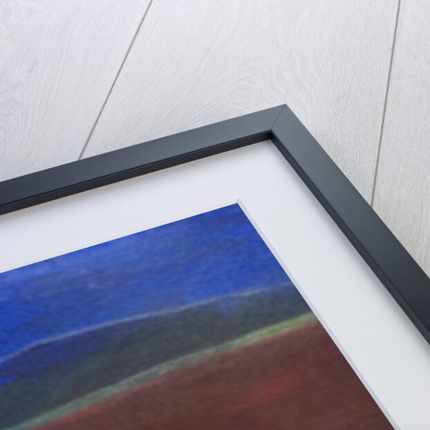 Boy and Sparrow, 2011 by Roya Salari