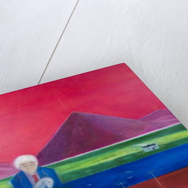 Craigie going Home, 2011 by Roya Salari