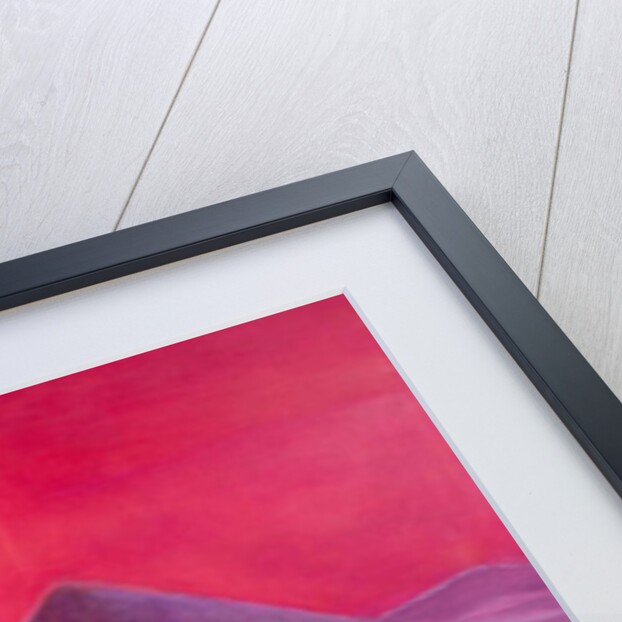 Craigie going Home, 2011 by Roya Salari