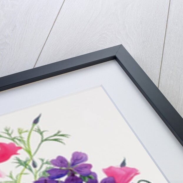 Poppies and Geraniums by Christopher Ryland