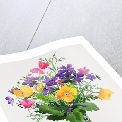 Poppies and Geraniums by Christopher Ryland